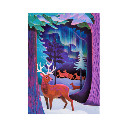 Northern Lights Greeting Card (3D)