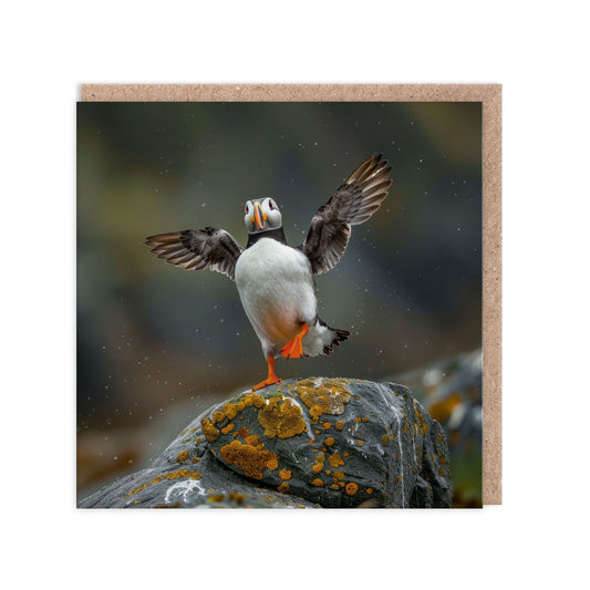 Puffin Greeting Card