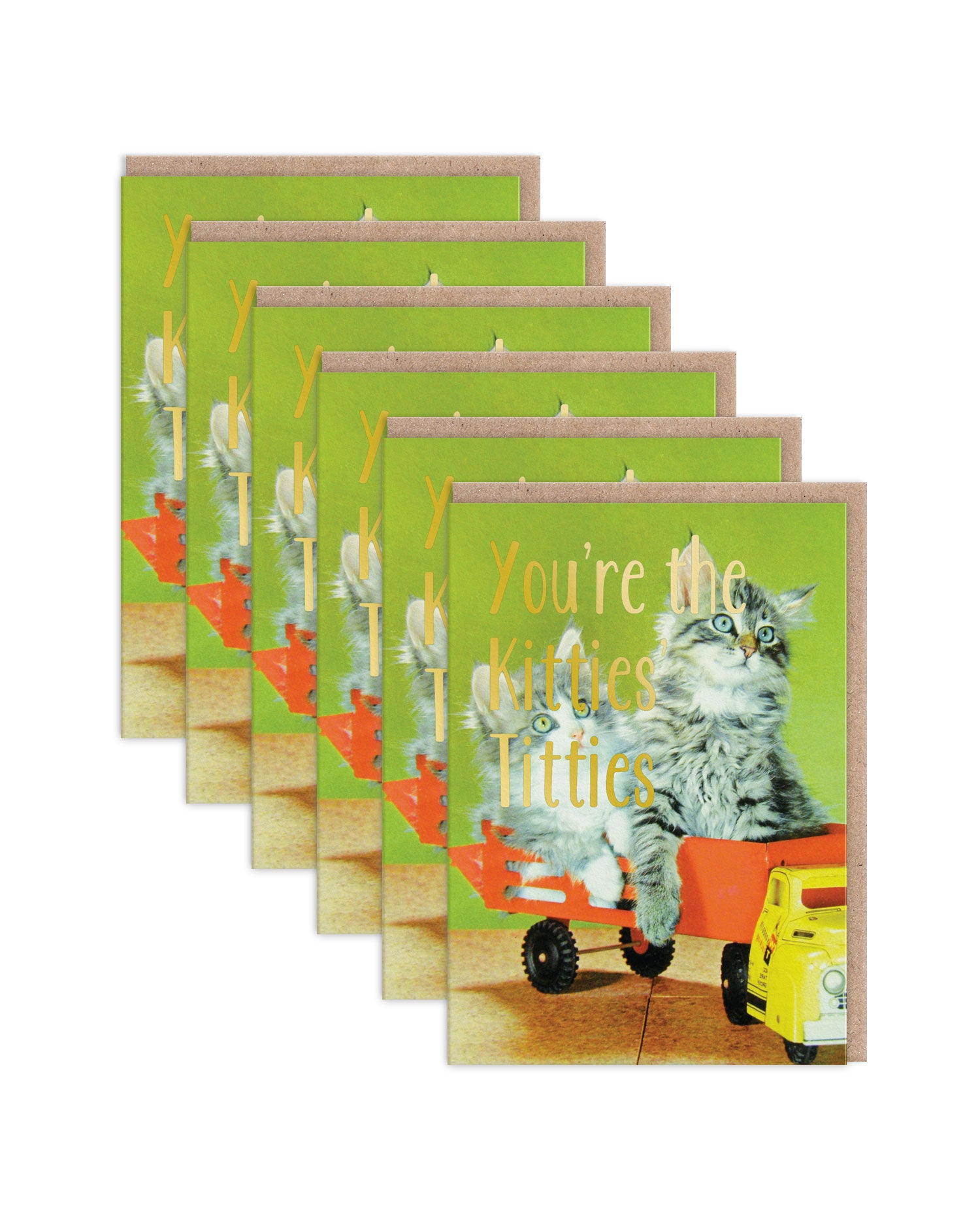 SKGC7345 6 Pack Image