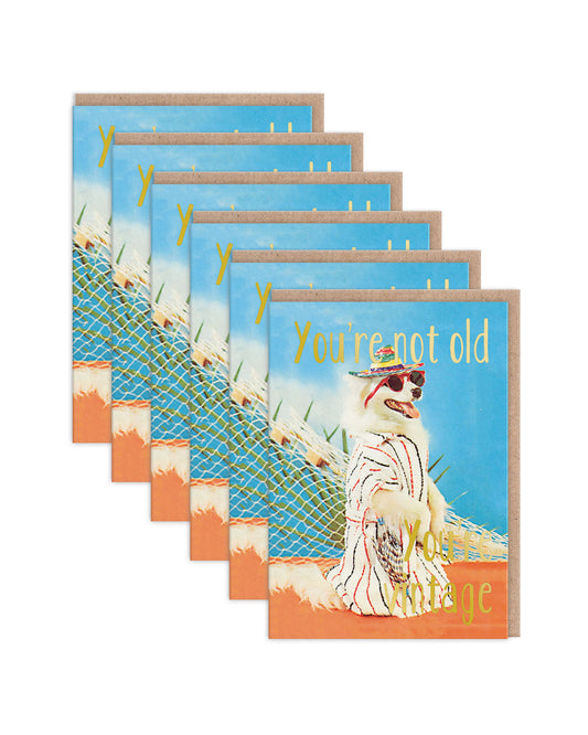 SKGC7346 6 Pack Image