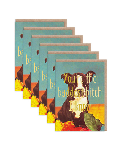 SKGC9206 6 Pack Image