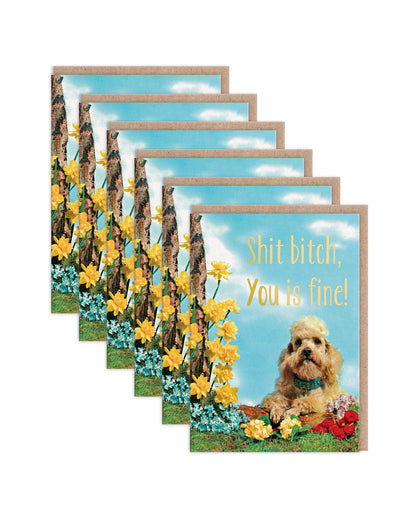 SKGC9209 6 Pack Image