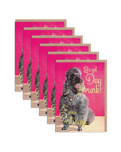 SKGC9211 6 Pack Image