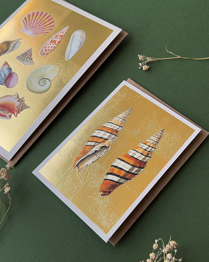 Shells Mini Greeting Card
