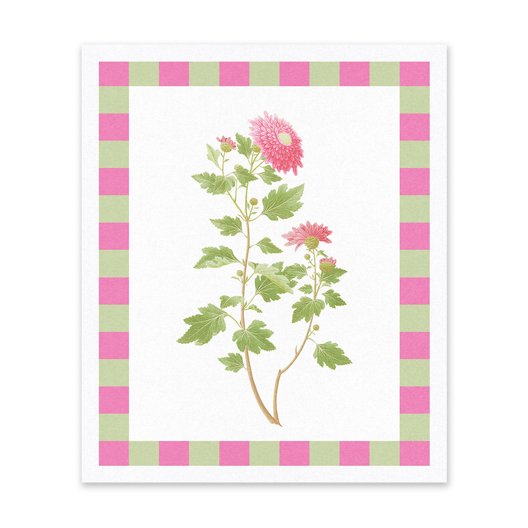 Chrysanthemum Riso Print (12x10)