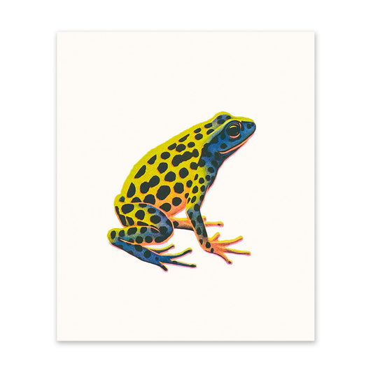 Poison Arrow Frog 1 Art Print