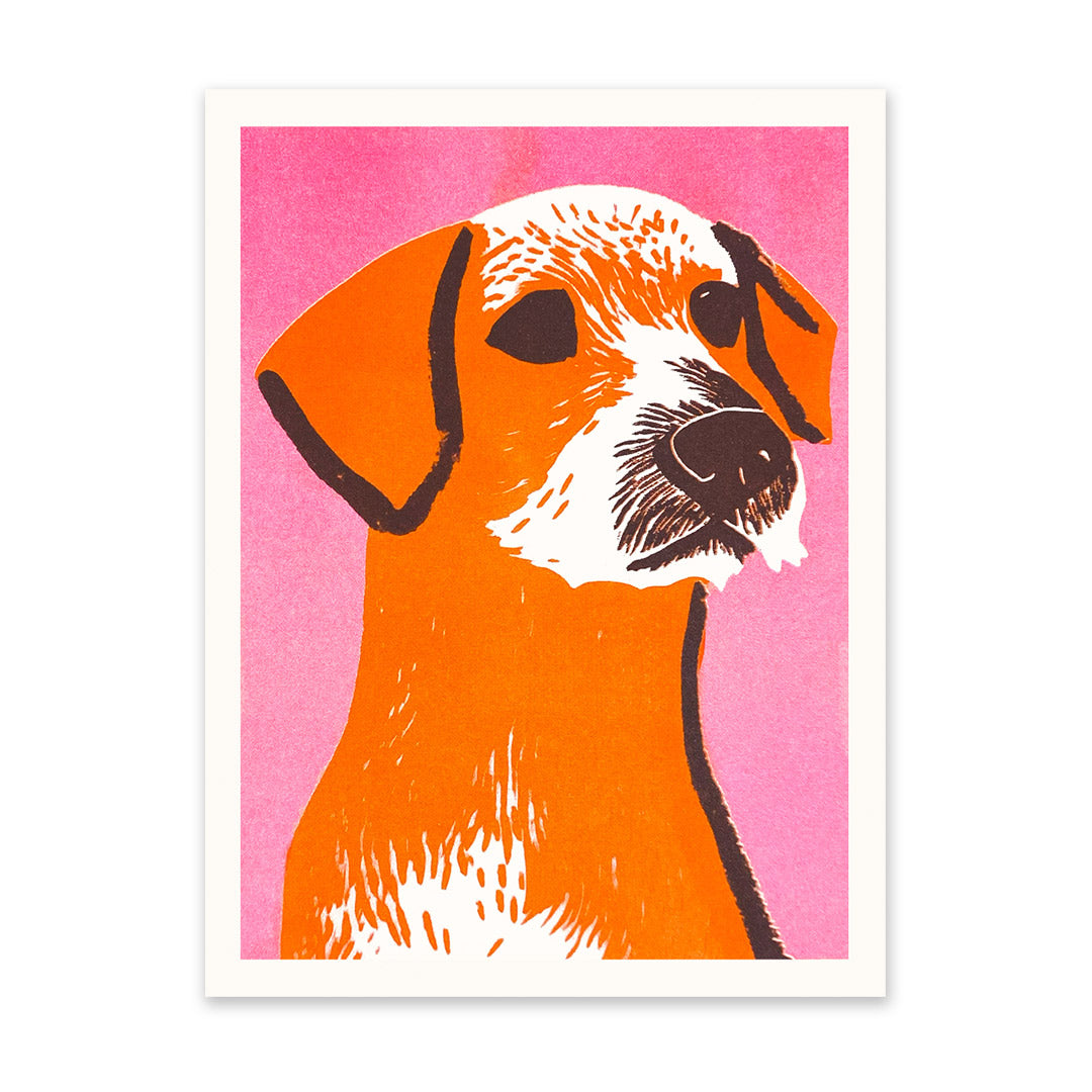 Mid Century Border Terrier Riso Print (8x6)