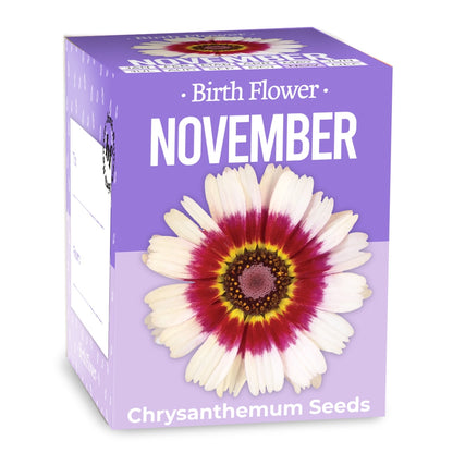 Birth Flower - November