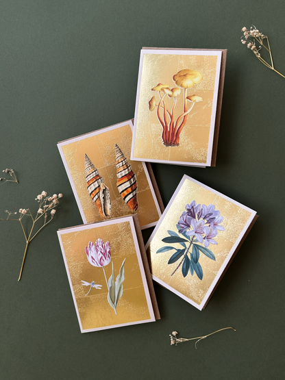 Shells Mini Greeting Card