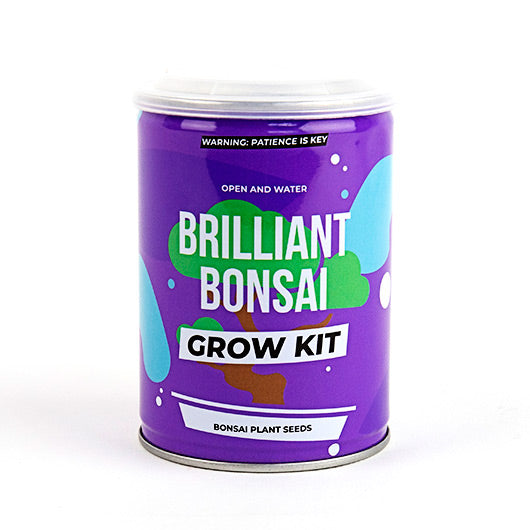 Brilliant Bonsai Tree Growing Kit Tin