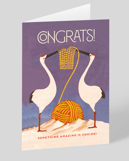 Personalised Storks Congrats New Baby Card