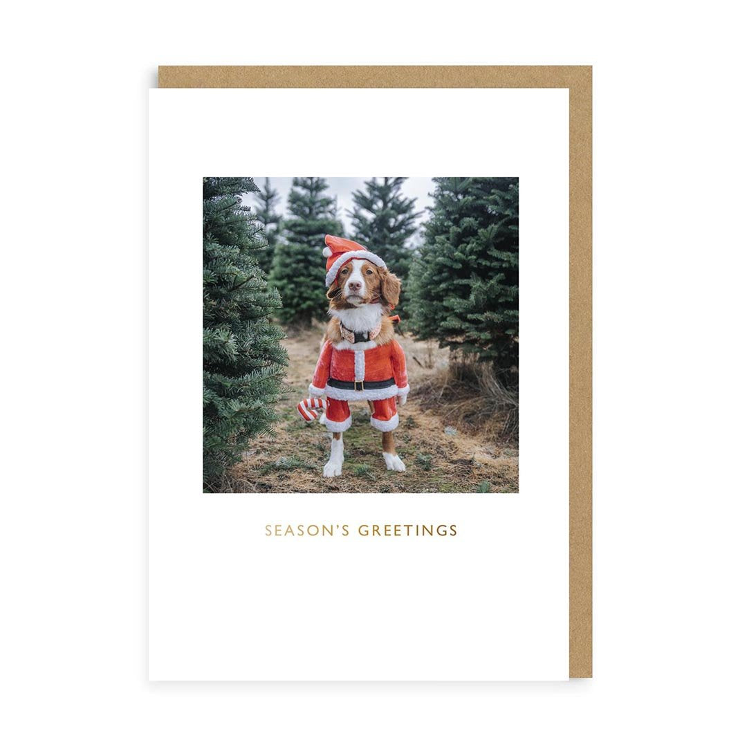 Maple Santa Christmas Card