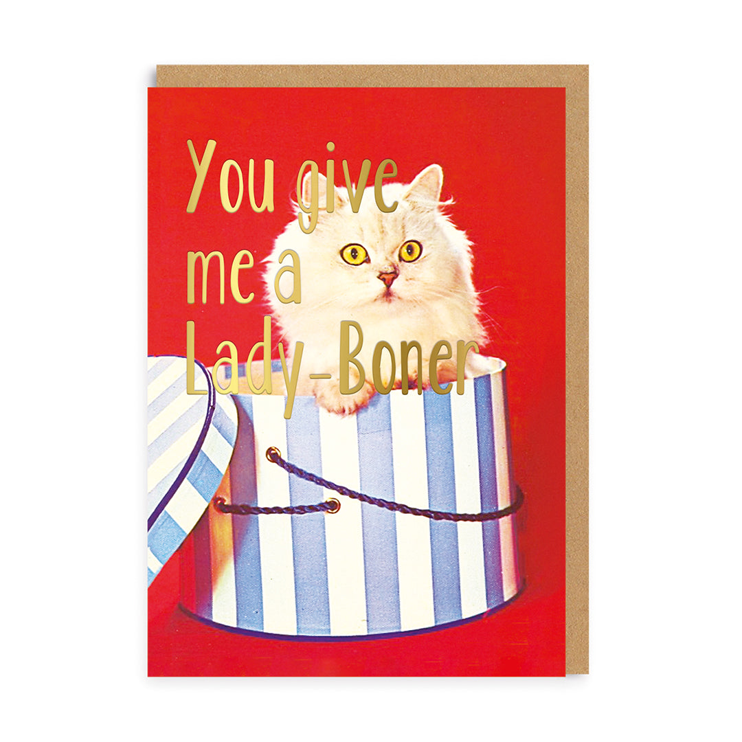 You Give Me Boner Greeting Card