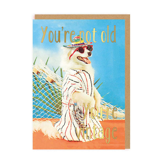 You're Not Old, You're Vintage Greeting Card