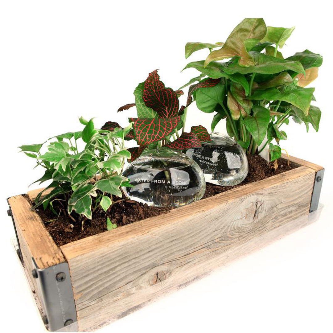Water From A Stone Self-Watering System
