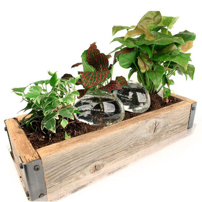 Water From A Stone Self-Watering System