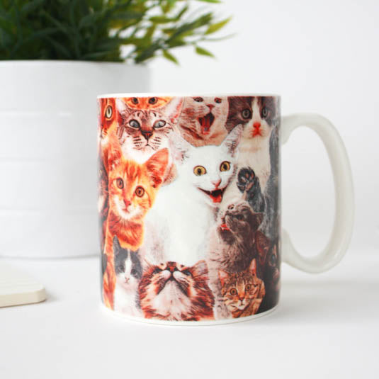 Cat Lovers Mug