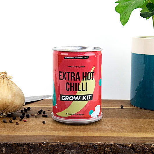 Grow Your Own Chilli Plant