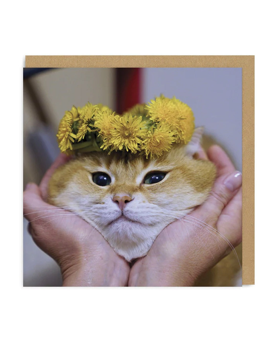 Cat Face Square Greeting Card