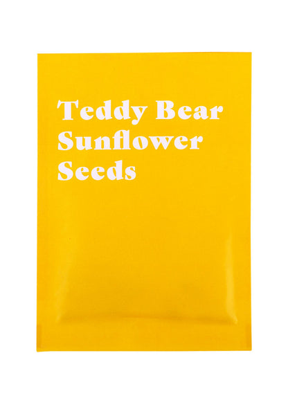 Teddy Bear Sunflower Seeds